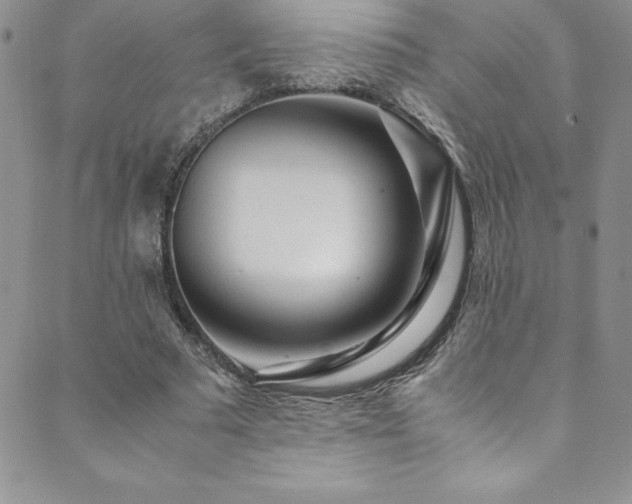 X0000089890681200706281415