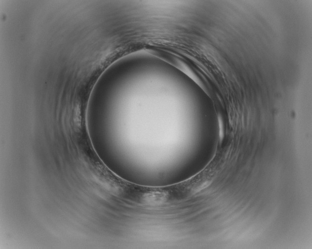 X0000089890700200706281415