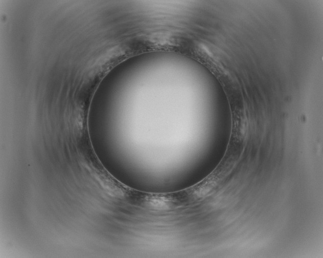 X0000089890710200706281415