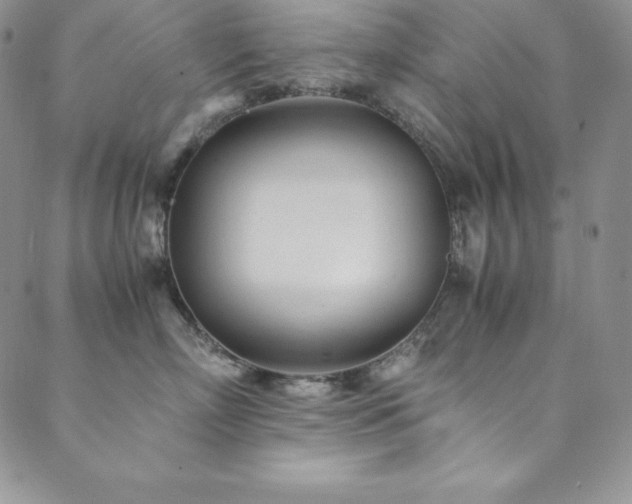 X0000089890718200706281414