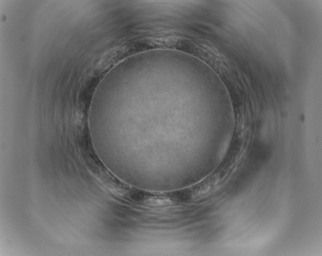 X0000089890749200706281414