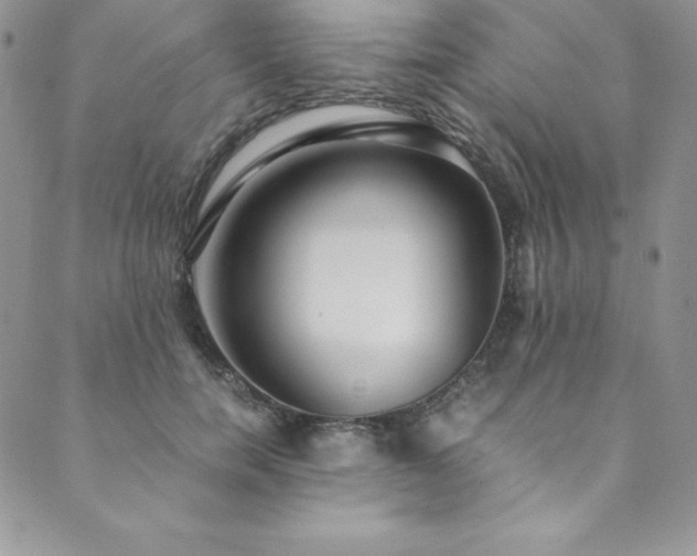 X0000089890750200706281414