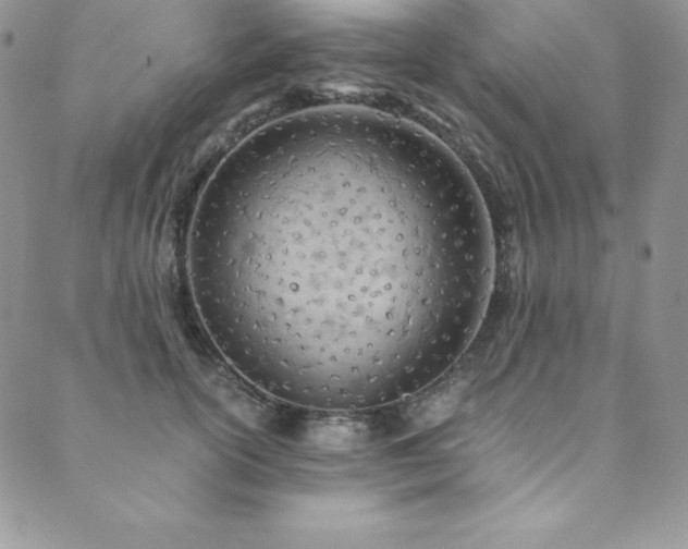 X0000089890754200706281414