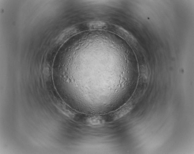 X0000089890761200706281414