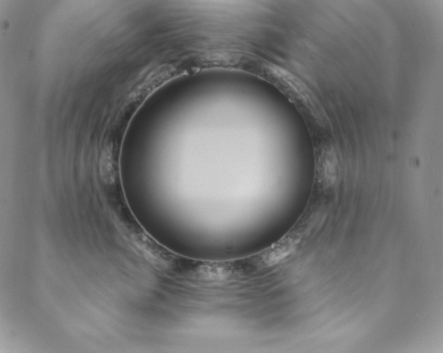 X0000089890764200706281414