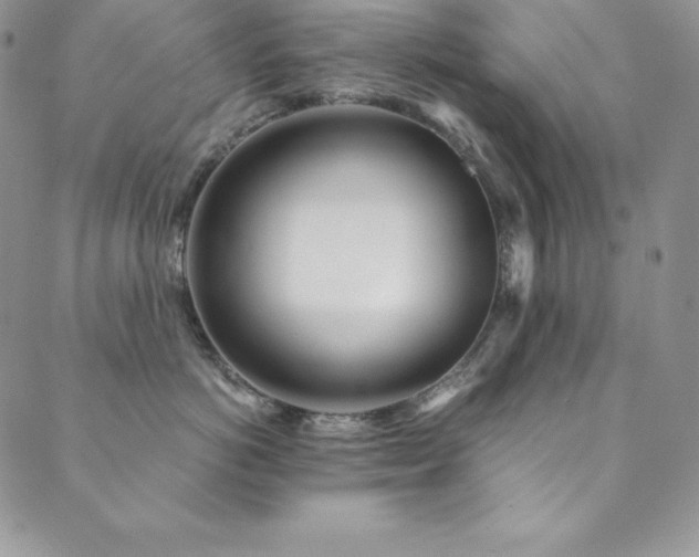 X0000089890766200706281414