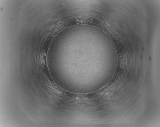 X0000089890770200706281414