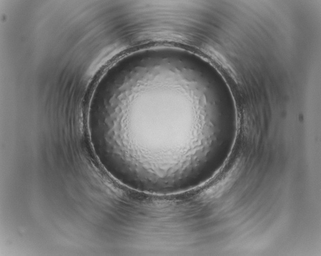 X0000089890782200706281413