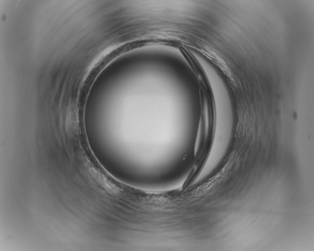 X0000089890784200706281413