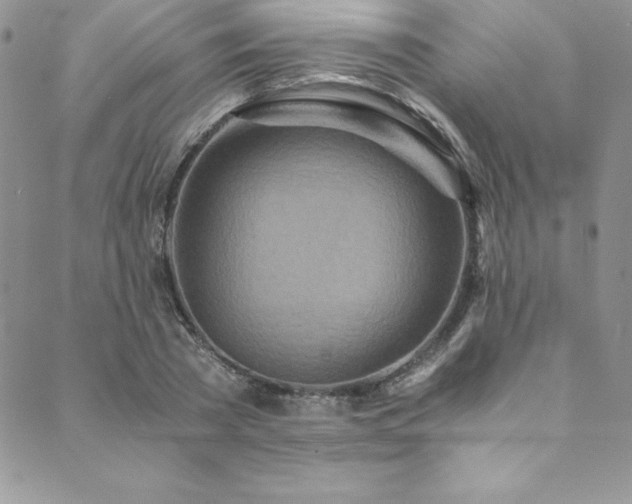 X0000089890785200706281413