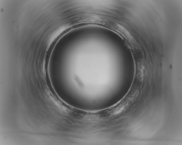 X0000089890788200706281413