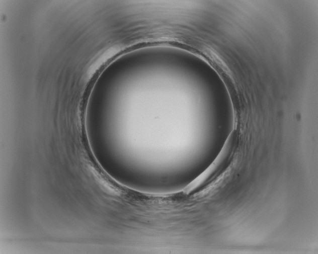 X0000089890789200706281413