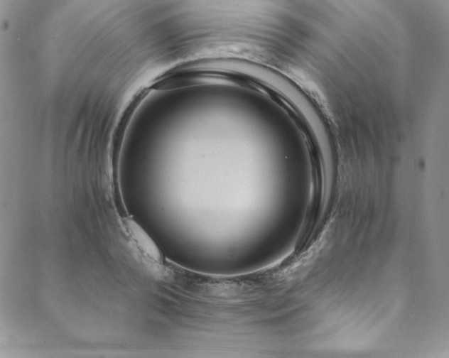 X0000089890792200706281413