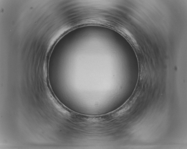 X0000089890796200706281413