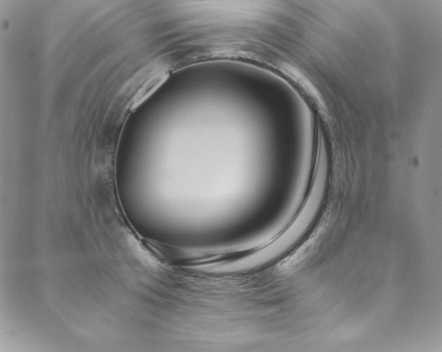 X0000089890801200706281413