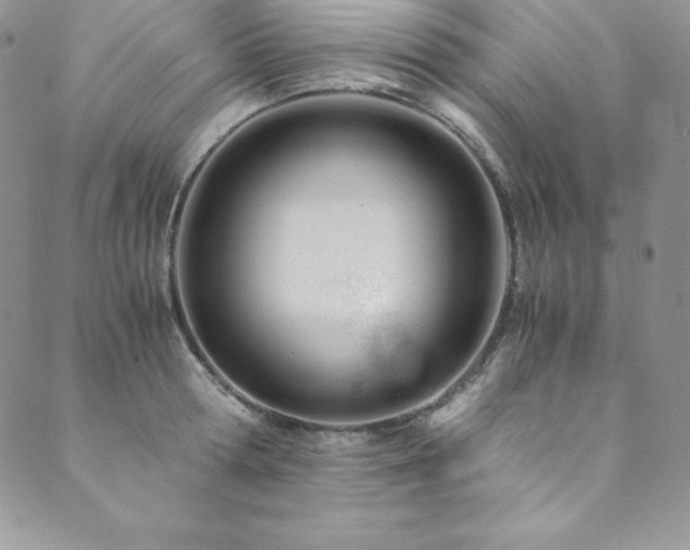 X0000089890802200706281413