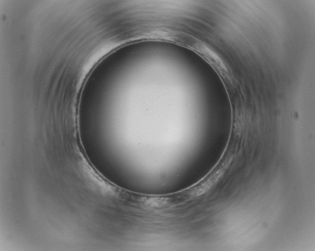 X0000089890808200706281413