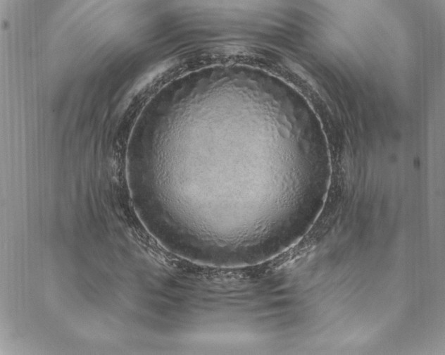 X0000089890823200706281412