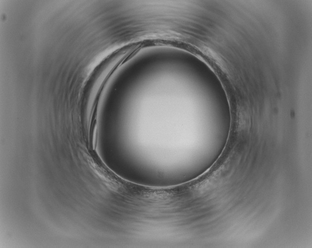 X0000089890830200706281412