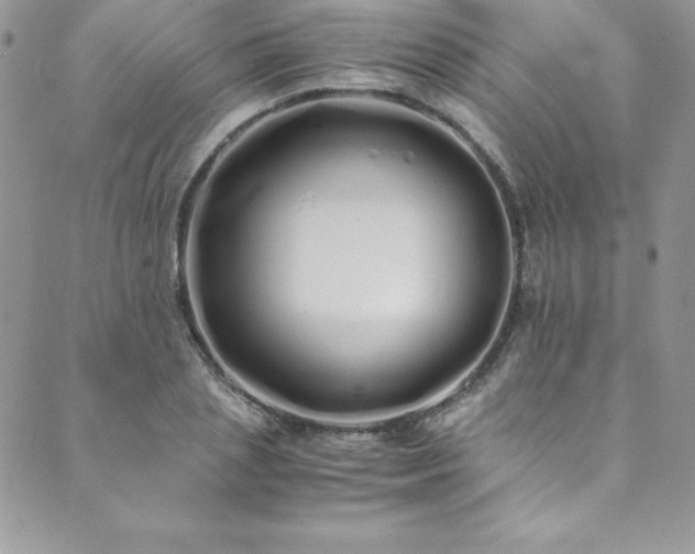 X0000089890837200706281412