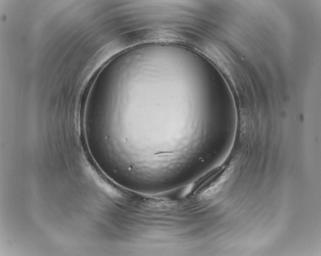 X0000089890843200706281412