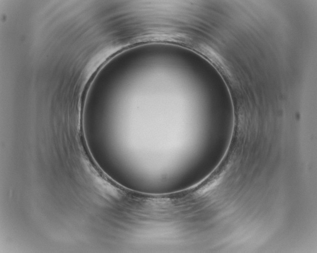 X0000089890844200706281412