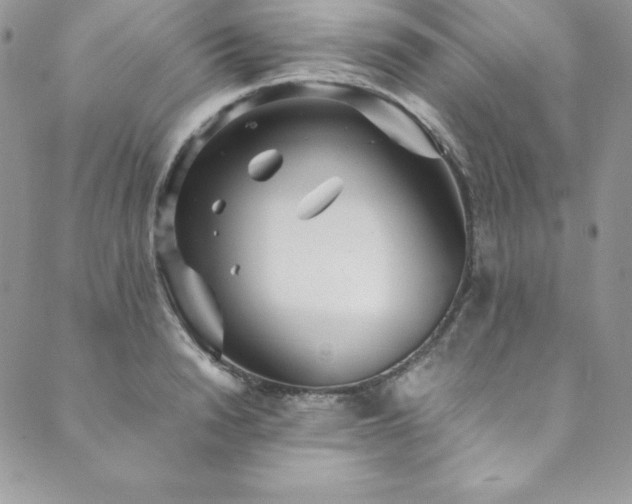 X0000089890846200706281412