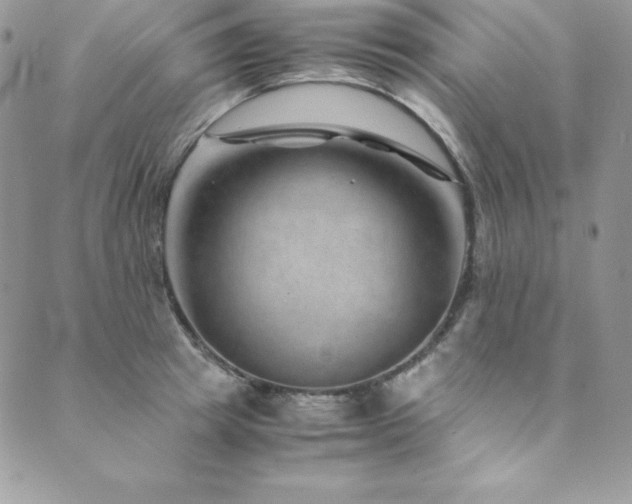 X0000089890849200706281413
