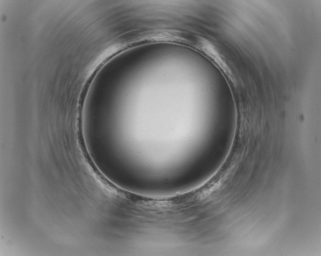 X0000089890853200706281413