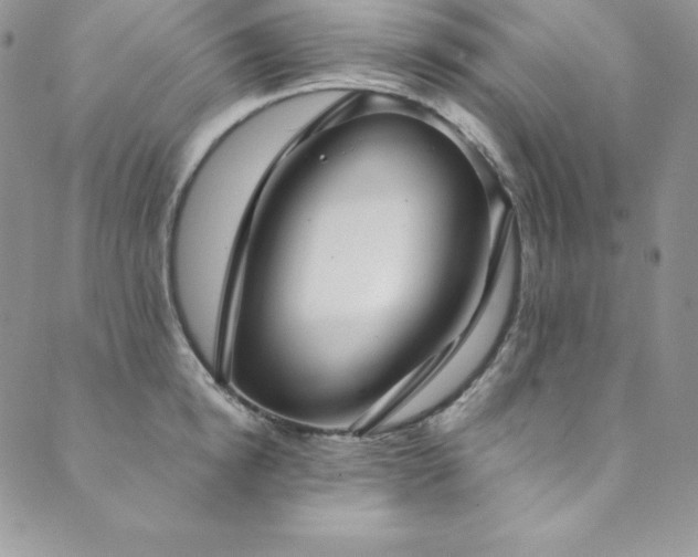 X0000089890854200706281413