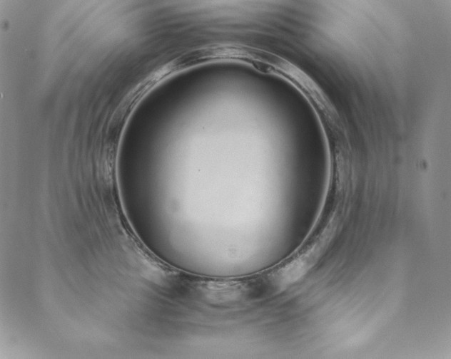 X0000089890857200706281413