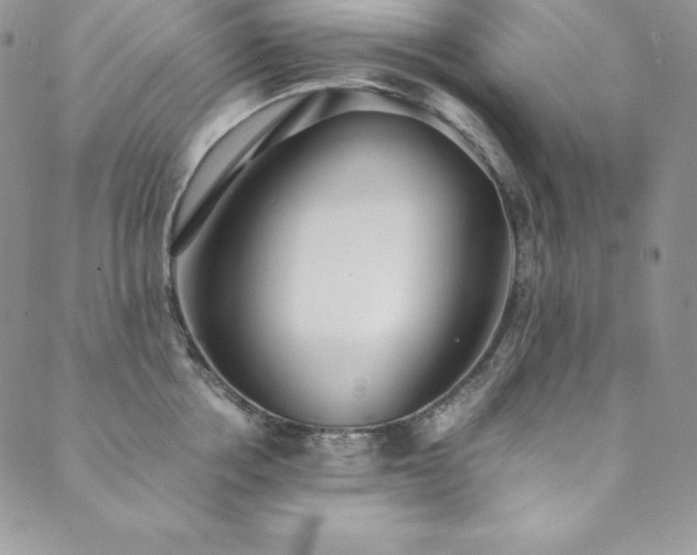 X0000089890858200706281413