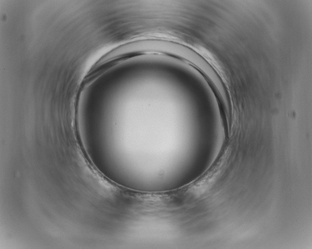 X0000089890862200706281413