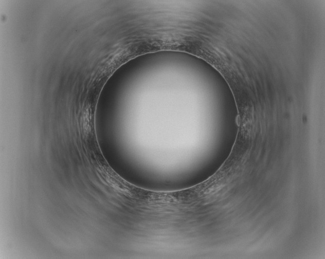 X0000089890866200706281412