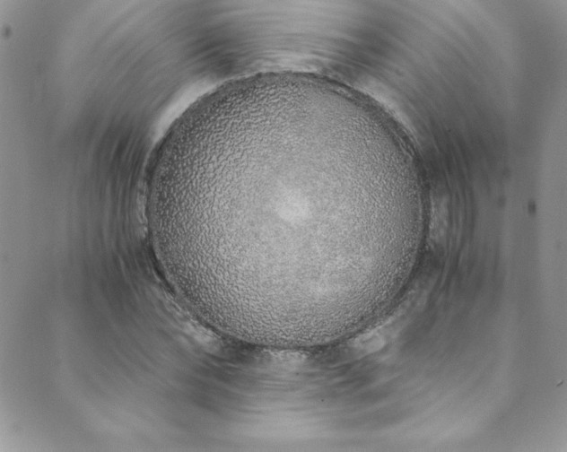 X0000089890878200706281412