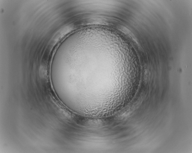 X0000089890882200706281412