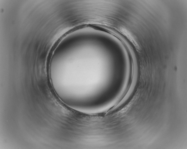 X0000089890884200706281412