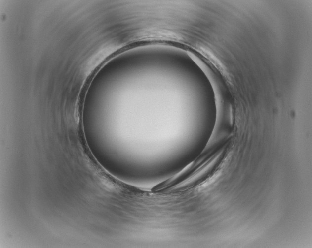 X0000089890885200706281412