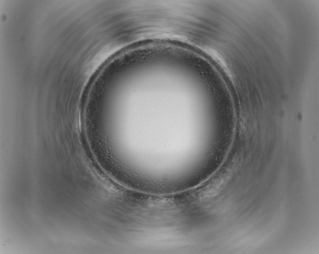 X0000089890887200706281412