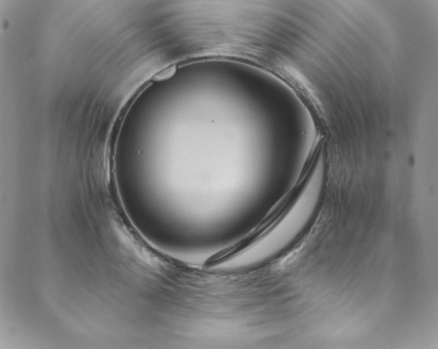 X0000089890892200706281412