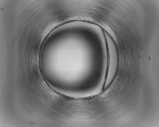 X0000089890896200706281411