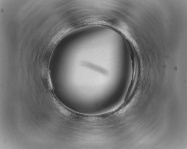 X0000089890897200706281411