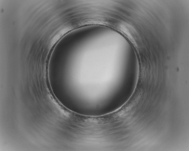 X0000089890898200706281411