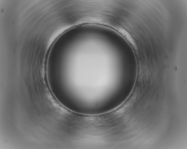 X0000089890904200706281411