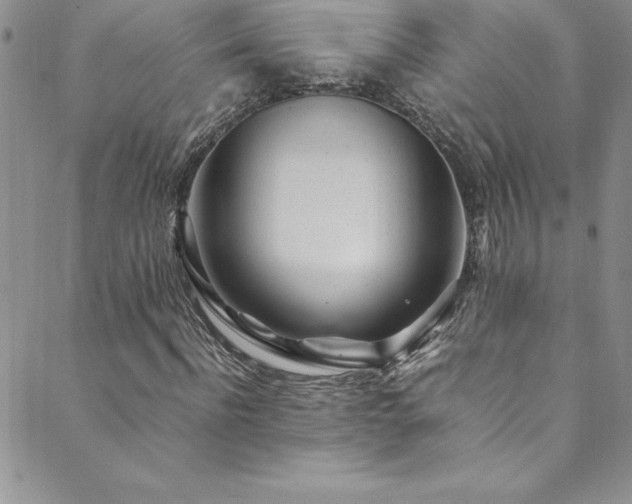 X0000089890916200706281411