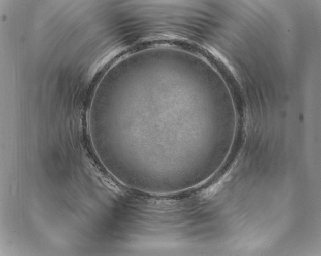 X0000089890921200706281411