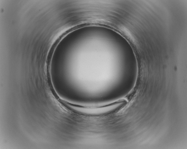 X0000089890932200706281411