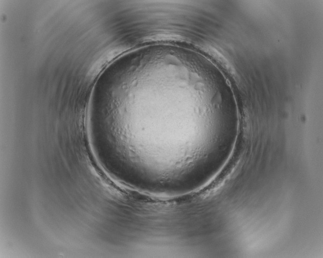 X0000089890937200706281411