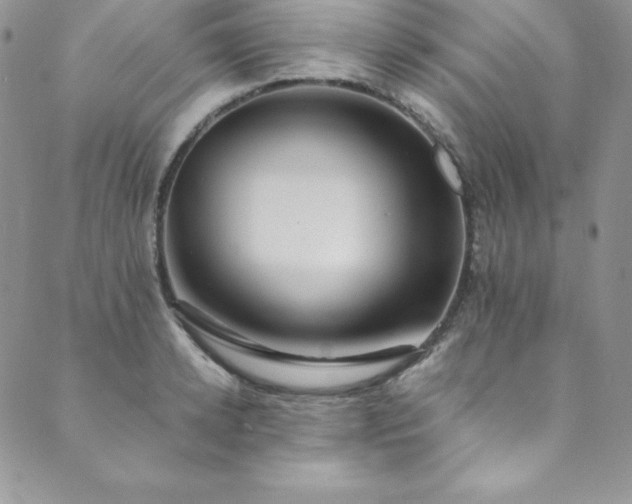 X0000089890942200706281411