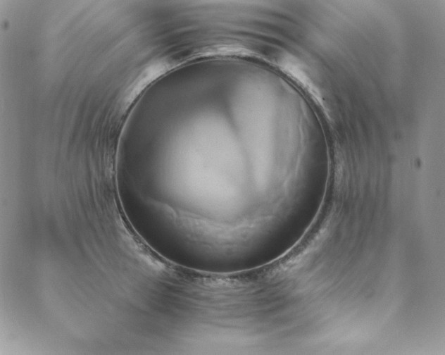 X0000089890945200706281411
